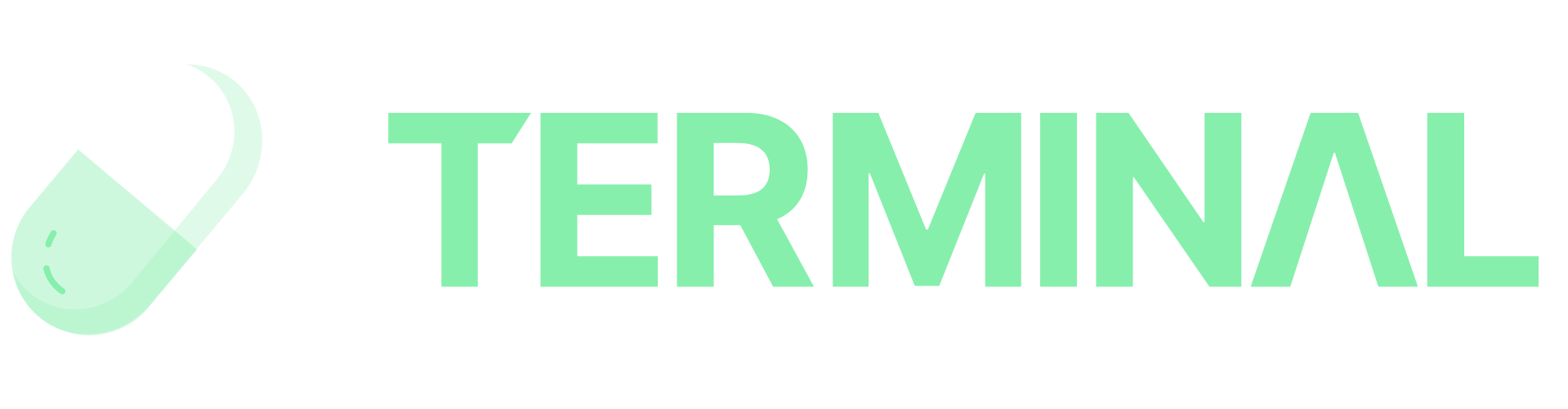 Terminal
